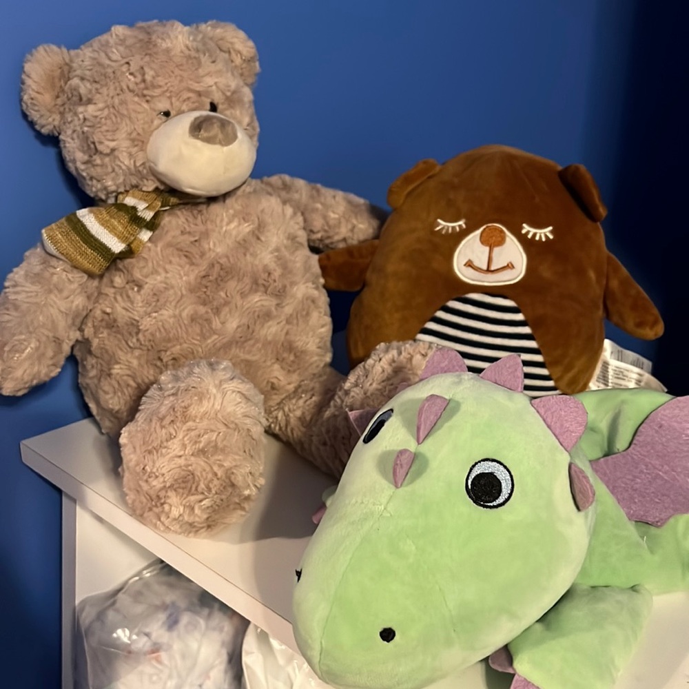 Microwave stuffies/warmie plushie